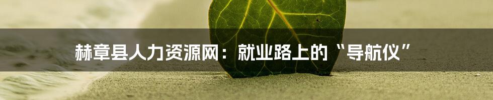 赫章县人力资源网:就业路上的“导航仪”