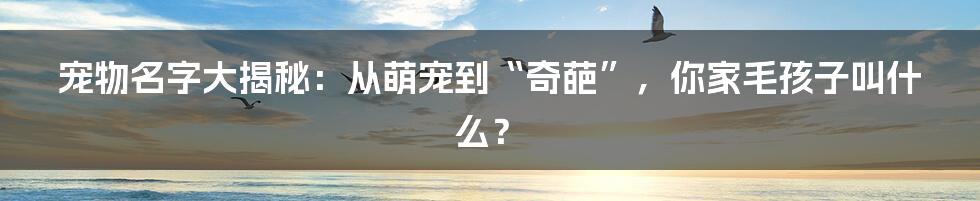 宠物名字大揭秘：从萌宠到“奇葩”，你家毛孩子叫什么？