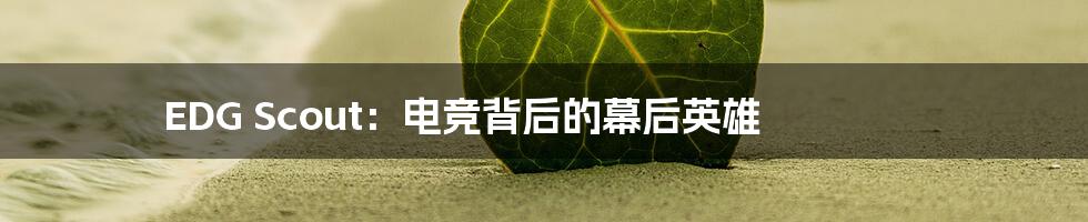 EDG Scout:电竞背后的幕后英雄