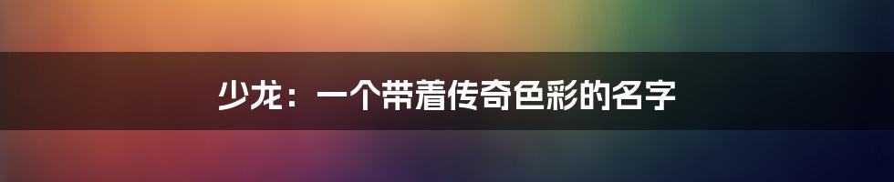 少龙:一个带着传奇色彩的名字
