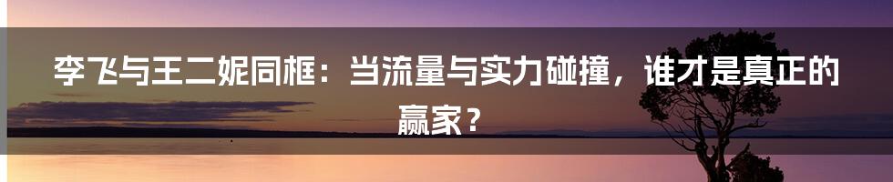 李飞与王二妮同框:当流量与实力碰撞,谁才是真正的赢家?