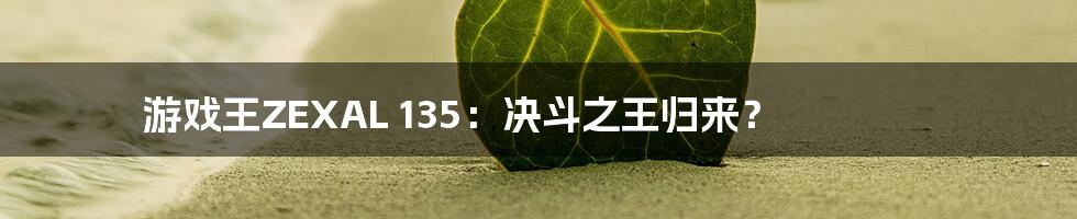 游戏王ZEXAL 135:决斗之王归来?