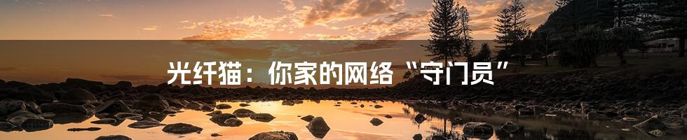 光纤猫:你家的网络“守门员”