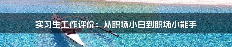 实习生工作评价:从职场小白到职场小能手