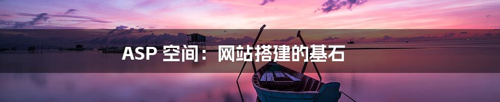 ASP 空间:网站搭建的基石