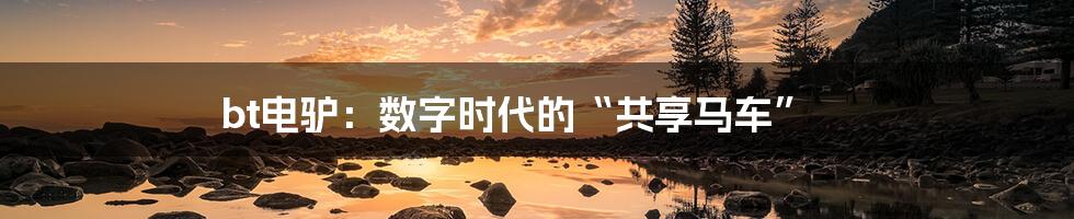 bt电驴：数字时代的“共享马车”