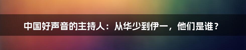中国好声音的主持人:从华少到伊一,他们是谁?