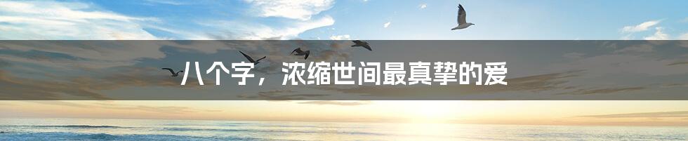 八个字,浓缩世间最真挚的爱