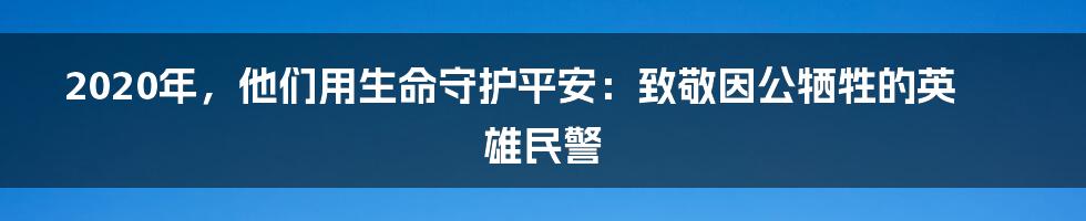 2020年,他们用生命守护平安:致敬因公牺牲的英雄民警