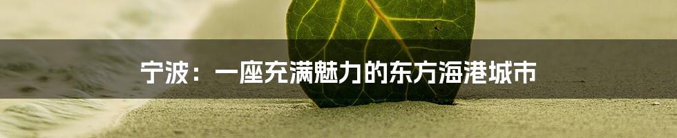 宁波:一座充满魅力的东方海港城市