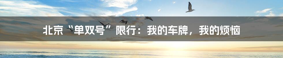 北京“单双号”限行：我的车牌，我的烦恼