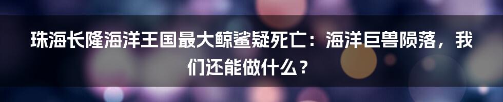 珠海长隆海洋王国最大鲸鲨疑死亡:海洋巨兽陨落,我们还能做什么?