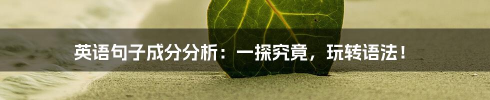 英语句子成分分析:一探究竟,玩转语法!