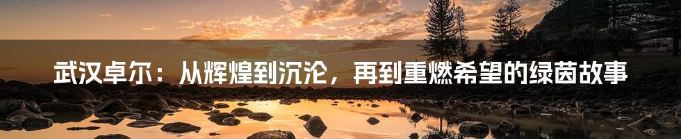 武汉卓尔:从辉煌到沉沦,再到重燃希望的绿茵故事