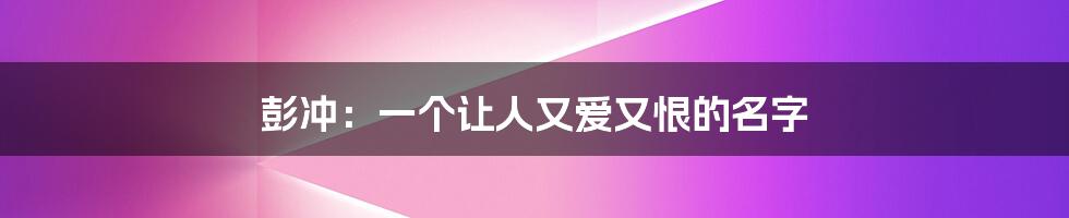 彭冲:一个让人又爱又恨的名字