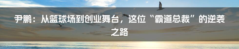 尹鹏:从篮球场到创业舞台,这位“霸道总裁”的逆袭之路