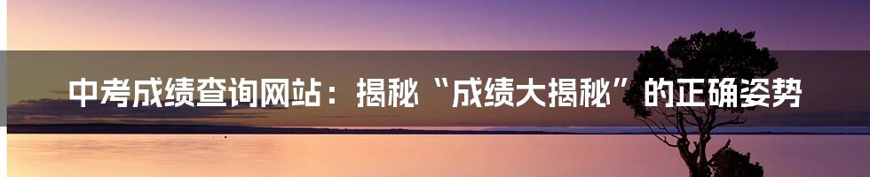 中考成绩查询网站:揭秘“成绩大揭秘”的正确姿势