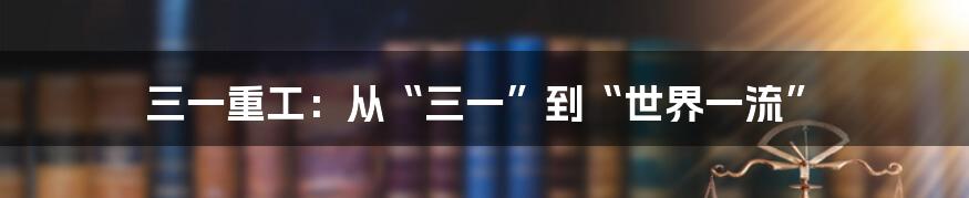 三一重工:从“三一”到“世界一流”