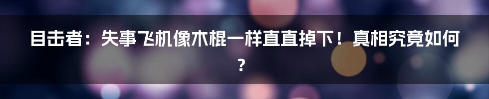 目击者：失事飞机像木棍一样直直掉下！真相究竟如何？