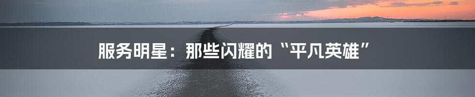 服务明星:那些闪耀的“平凡英雄”