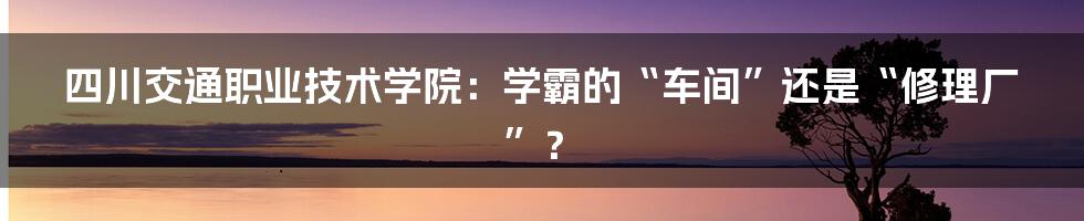 四川交通职业技术学院：学霸的“车间”还是“修理厂”？