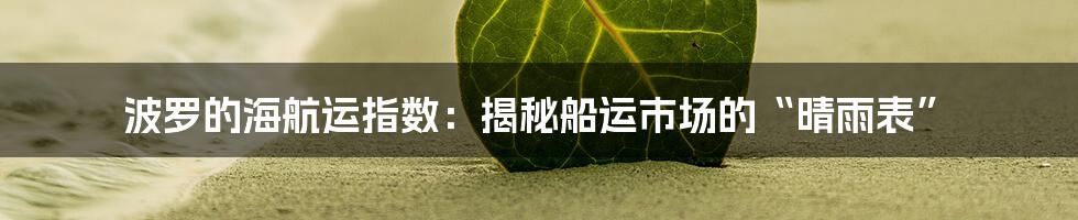 波罗的海航运指数:揭秘船运市场的“晴雨表”