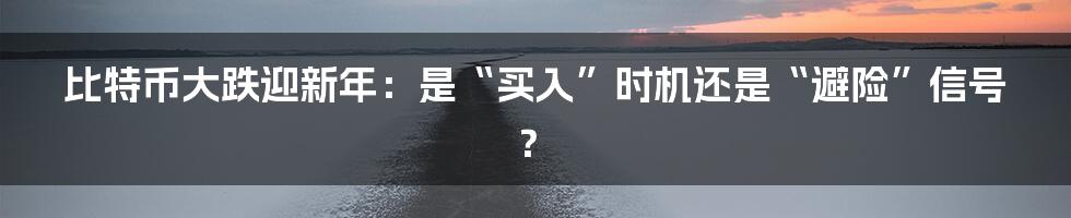 比特币大跌迎新年:是“买入”时机还是“避险”信号?