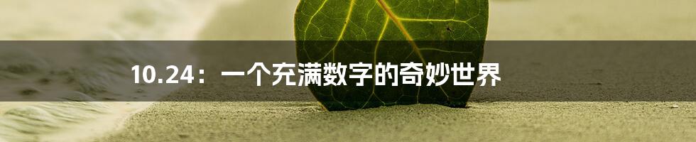 10.24:一个充满数字的奇妙世界