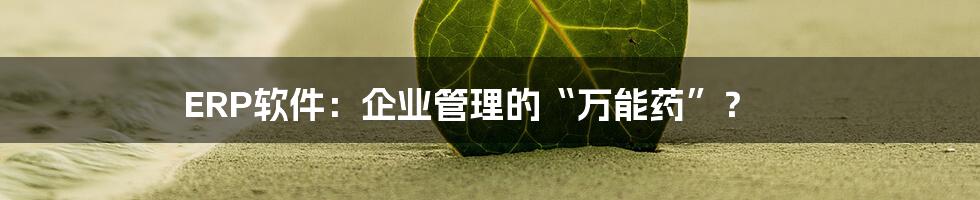 ERP软件:企业管理的“万能药”?