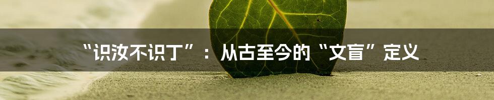 “识汝不识丁”:从古至今的“文盲”定义