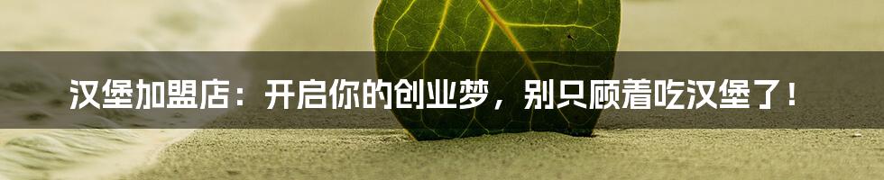 汉堡加盟店:开启你的创业梦,别只顾着吃汉堡了!
