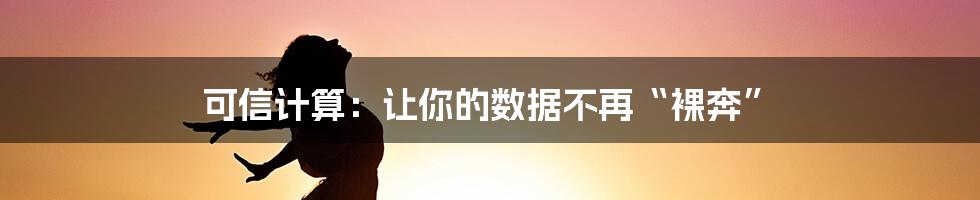 可信计算:让你的数据不再“裸奔”