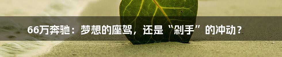 66万奔驰:梦想的座驾,还是“剁手”的冲动?