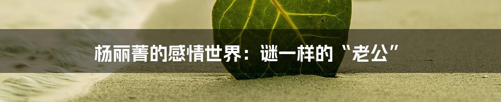 杨丽菁的感情世界:谜一样的“老公”