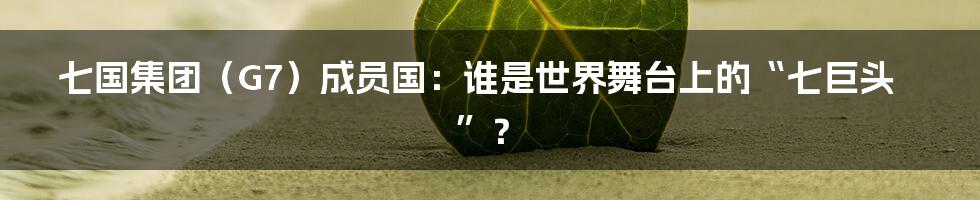 七国集团(G7)成员国:谁是世界舞台上的“七巨头”?