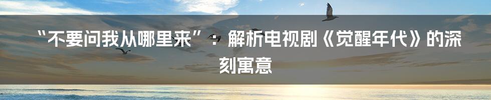 “不要问我从哪里来”:解析电视剧《觉醒年代》的深刻寓意