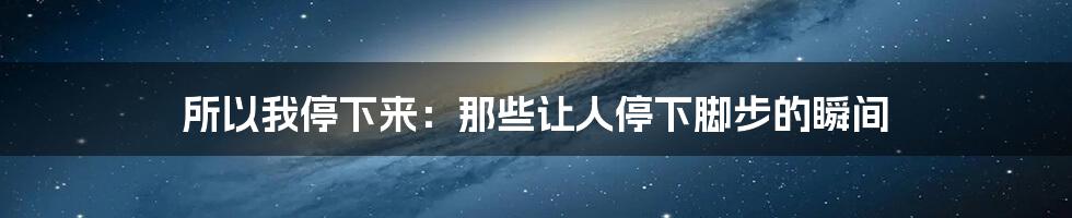 所以我停下来:那些让人停下脚步的瞬间