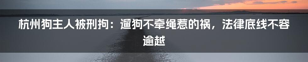 杭州狗主人被刑拘:遛狗不牵绳惹的祸,法律底线不容逾越