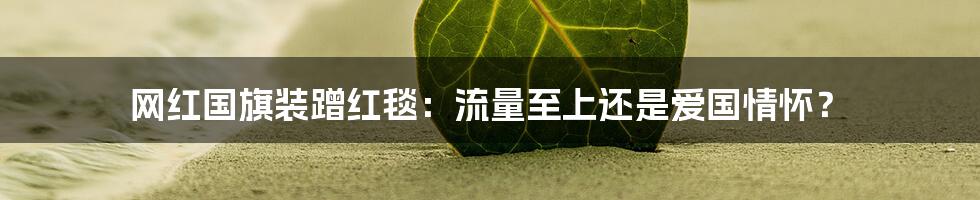 网红国旗装蹭红毯：流量至上还是爱国情怀？