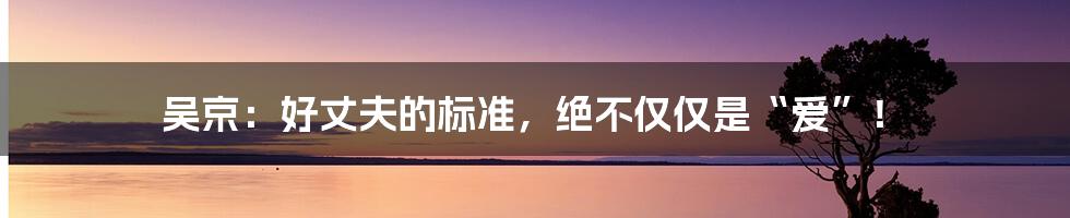 吴京:好丈夫的标准,绝不仅仅是“爱”!