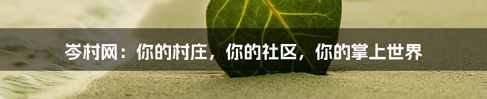 岑村网:你的村庄,你的社区,你的掌上世界