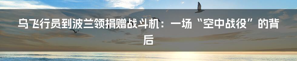乌飞行员到波兰领捐赠战斗机:一场“空中战役”的背后
