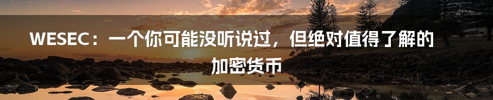 WESEC:一个你可能没听说过,但绝对值得了解的加密货币