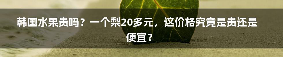 韩国水果贵吗?一个梨20多元,这价格究竟是贵还是便宜?