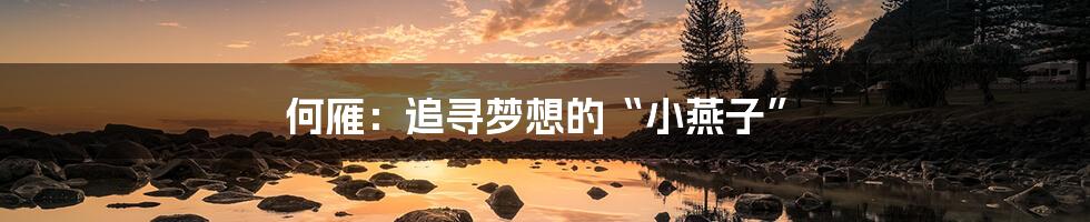 何雁:追寻梦想的“小燕子”