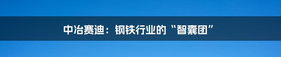 中冶赛迪:钢铁行业的“智囊团”