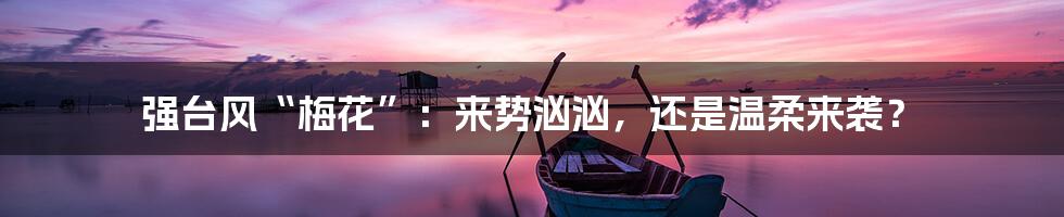 强台风“梅花”:来势汹汹,还是温柔来袭?