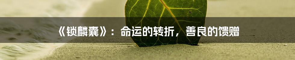 《锁麟囊》:命运的转折,善良的馈赠