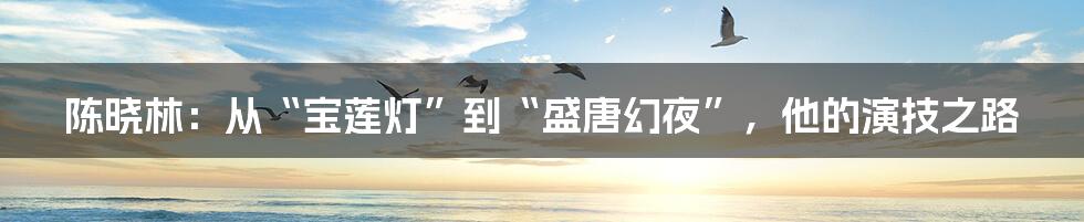 陈晓林:从“宝莲灯”到“盛唐幻夜”,他的演技之路