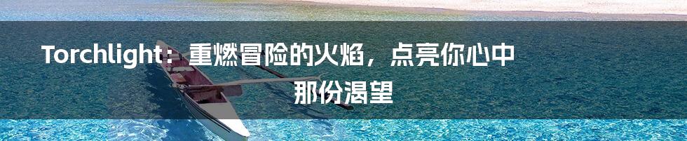 Torchlight:重燃冒险的火焰,点亮你心中那份渴望